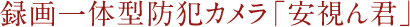 録画一体型防犯カメラ　安視ん君