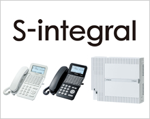 S-Integral